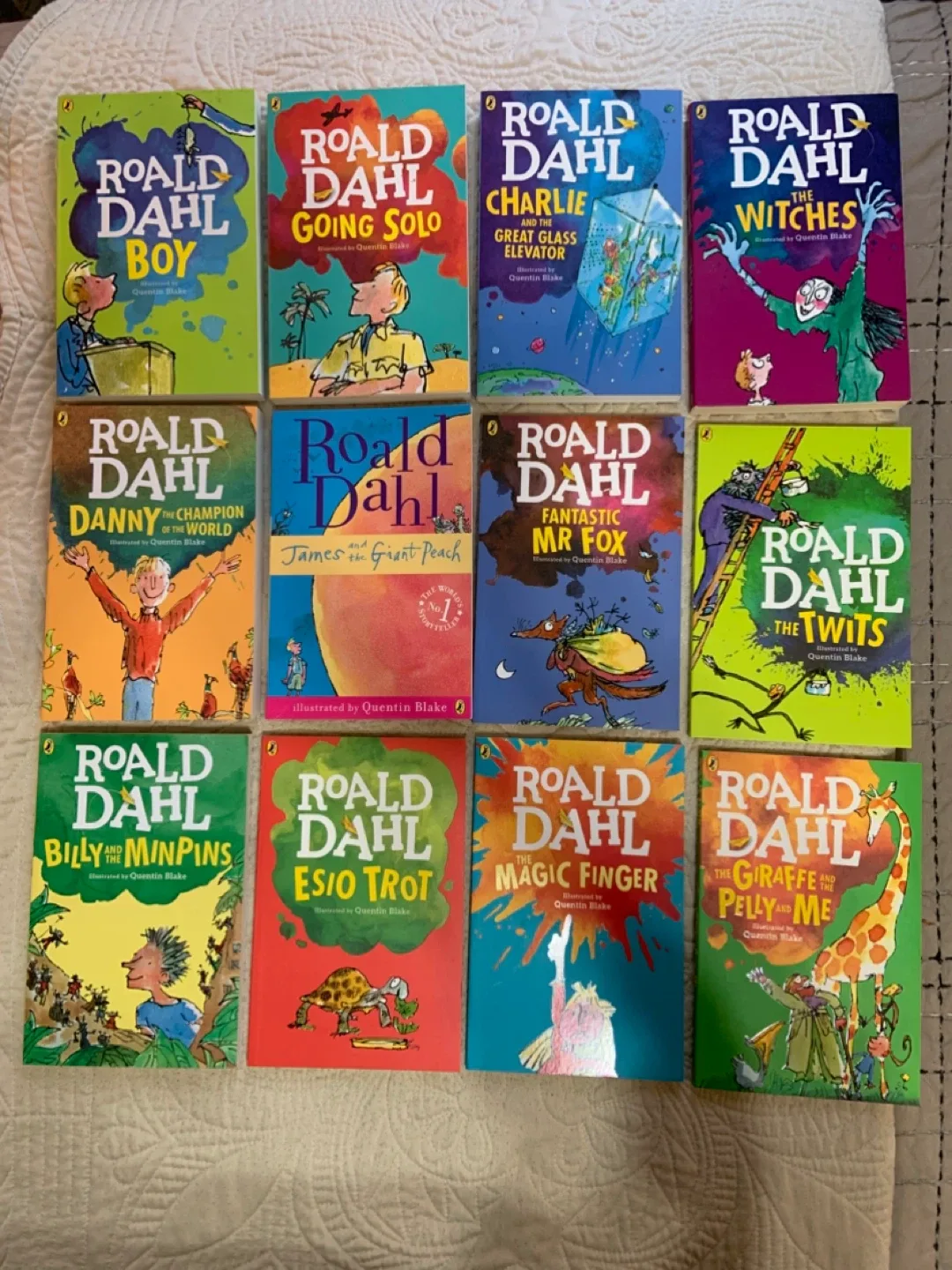 12 Roald Dahl Book Collection