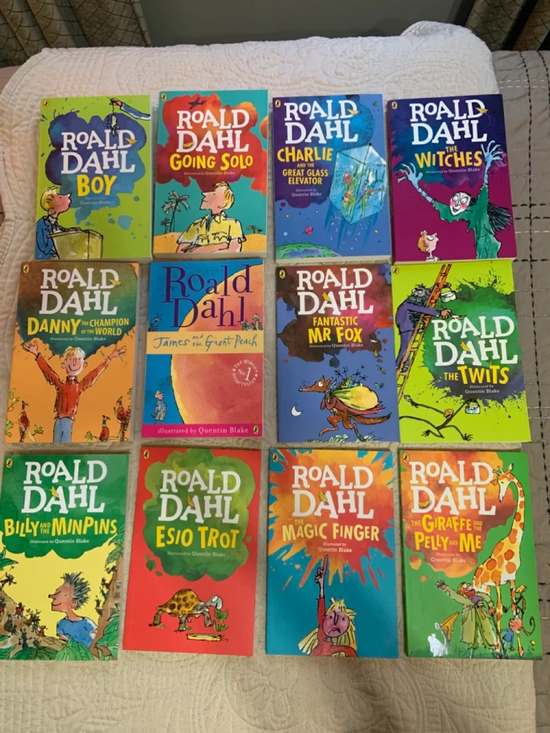 12 Roald Dahl Book Collection image indicator(6)