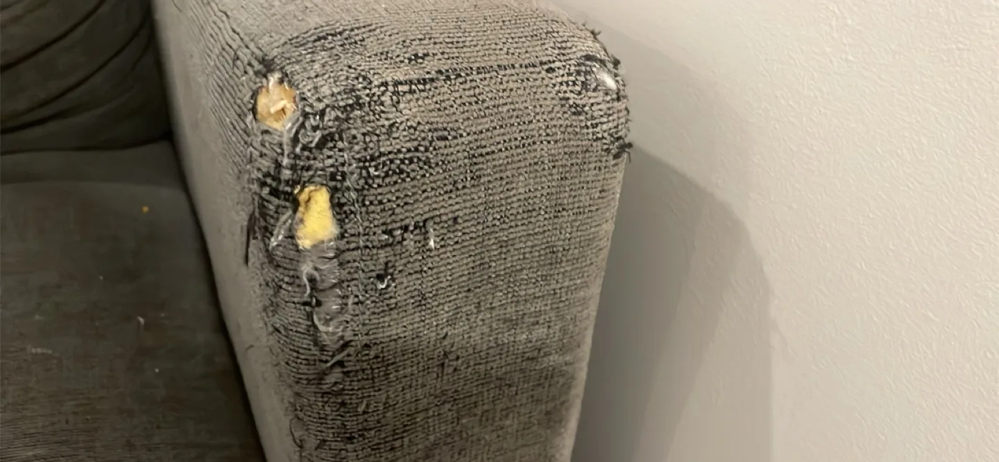 Damaged Grey Sectional Sofa image indicator(2)