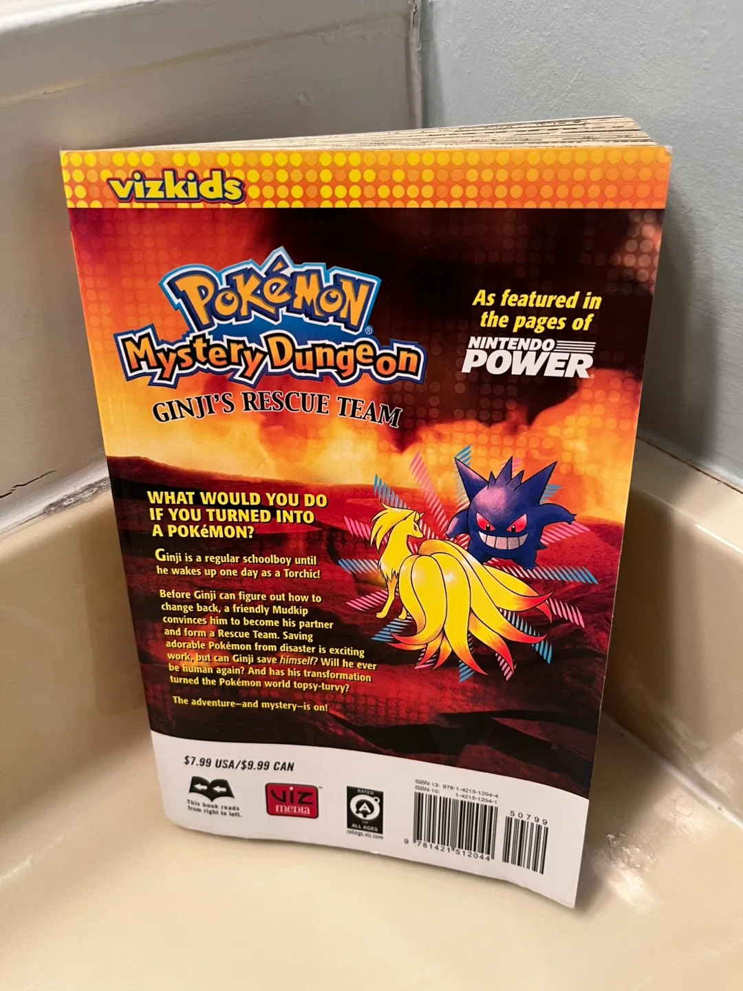 Pokemon Mystery Dungeon Ginji’s Rescue Team Manga image indicator(2)