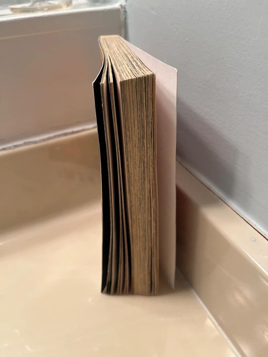 Pokemon Mystery Dungeon Ginji’s Rescue Team Manga image indicator(3)