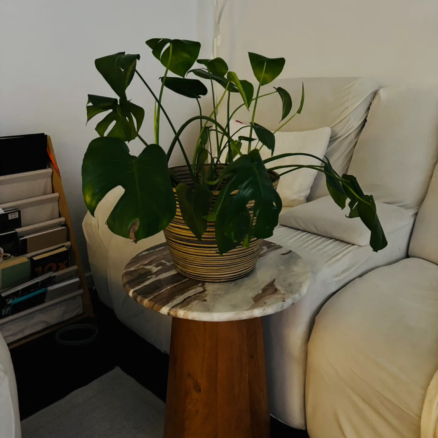 12in/30cm Black/Noir Bamboo Planter #cleanout image indicator(6)