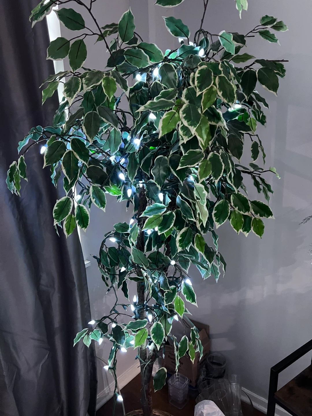 Ficus Tree in Basket faux - photo 3