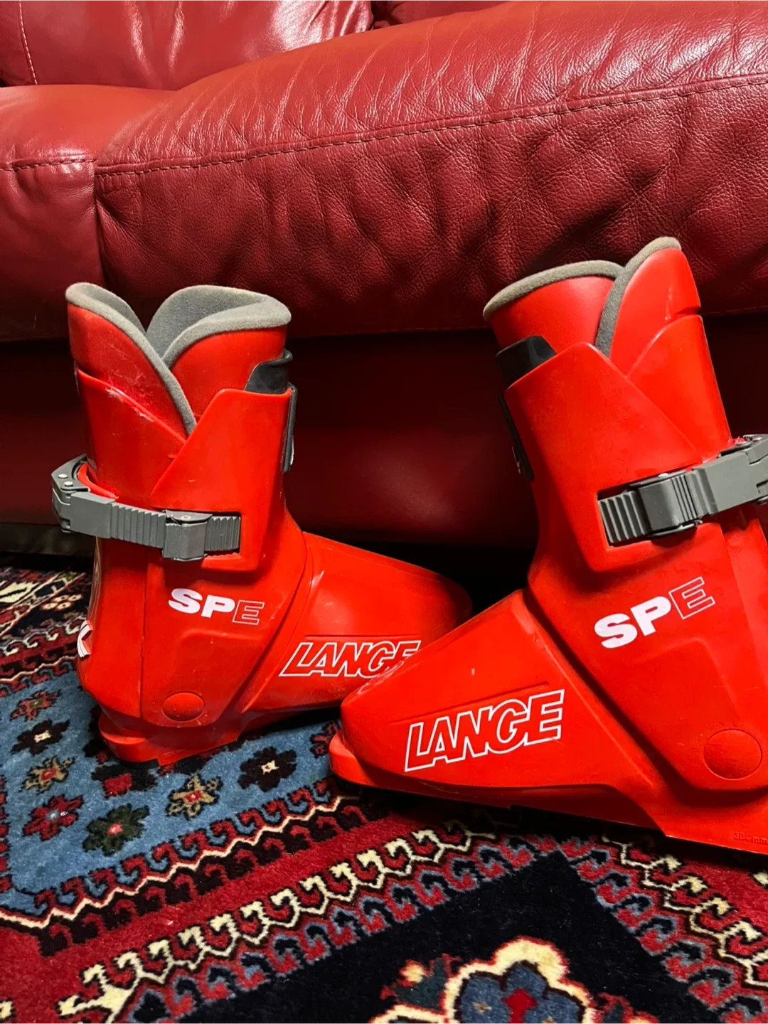 Dynastar Skis, Lange Boots, Ski Poles image indicator(10)