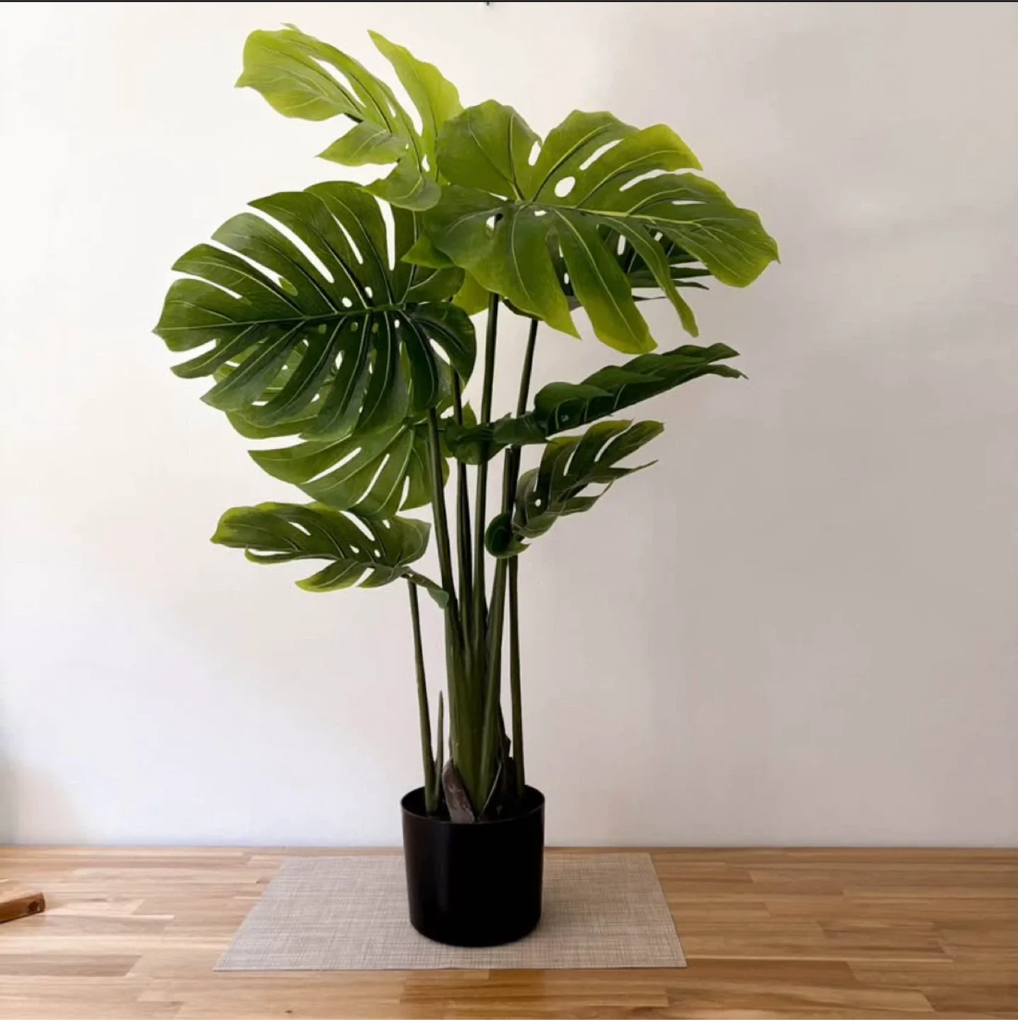 Faux Monstera Plant 🌱 #cleanout image indicator(4)