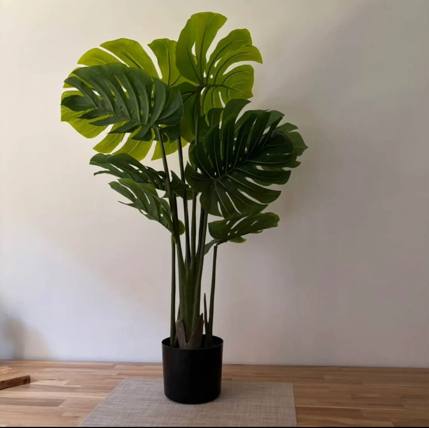 Faux Monstera Plant 🌱 #cleanout image indicator(2)