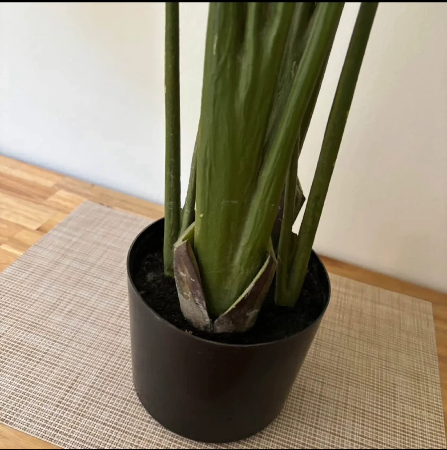 Faux Monstera Plant 🌱 #cleanout image indicator(3)