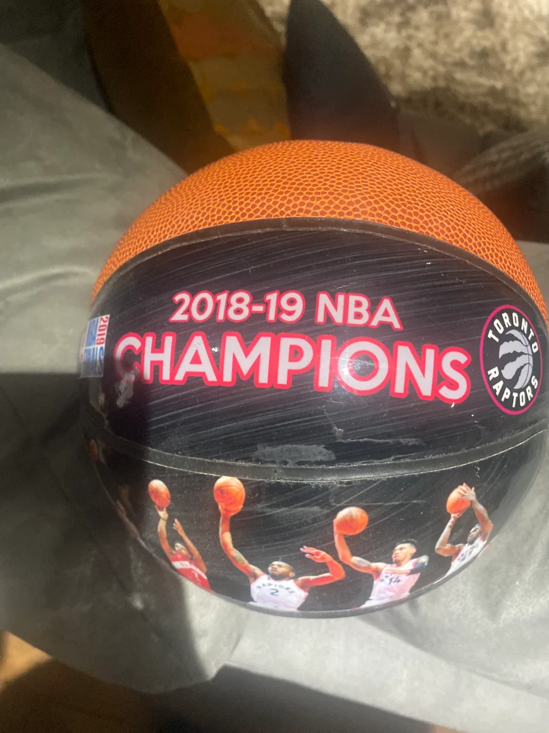 Toronto Raptors 2018-19 NBA Champions Basketball image indicator(2)