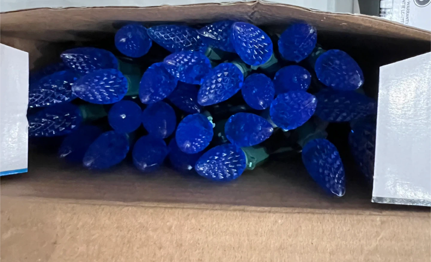NOMA Blue & Pure white Indoor/Outdoor C6 LED - photo 3