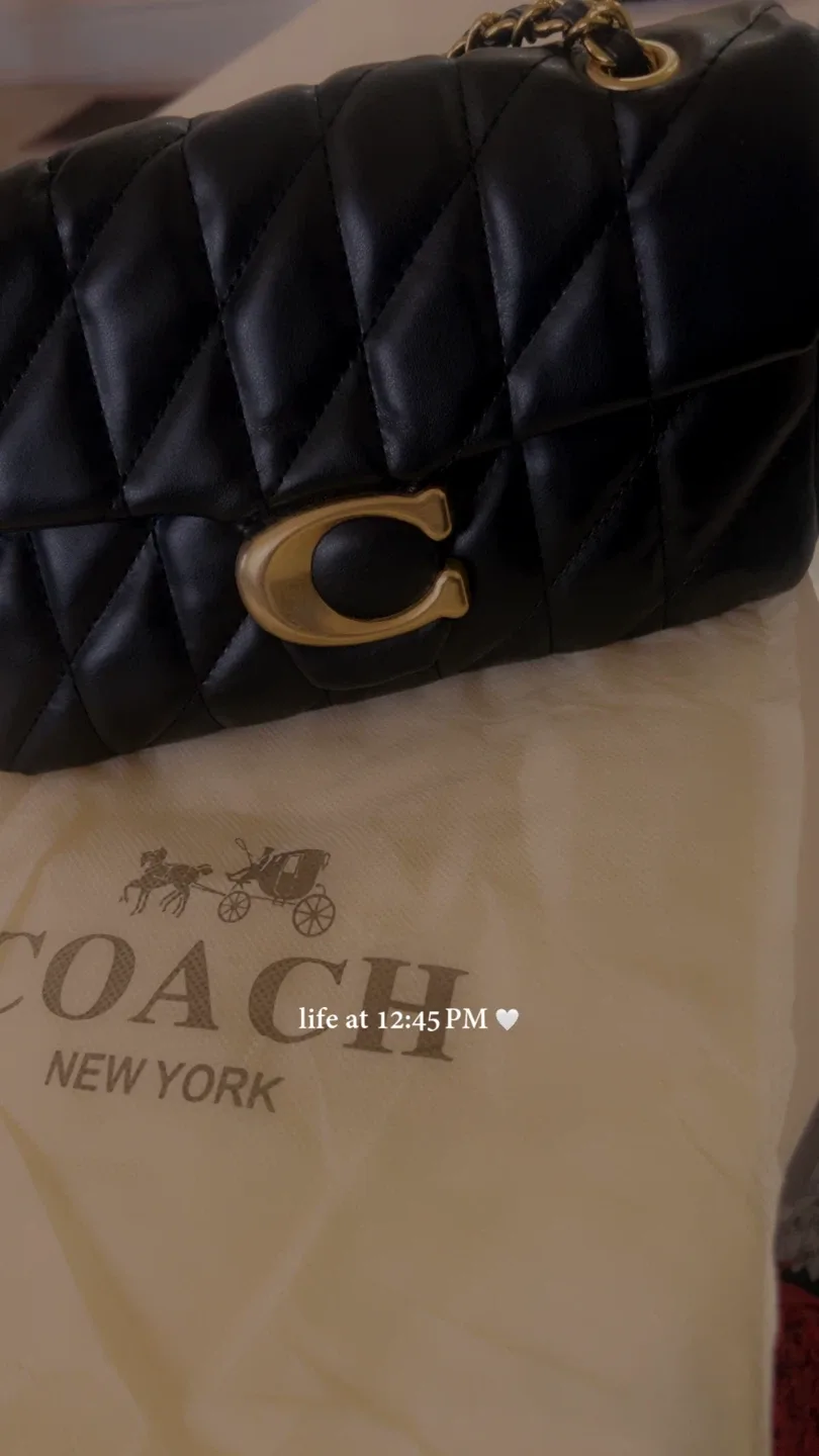 Coach Pillow Tabby 18 Black image indicator(2)