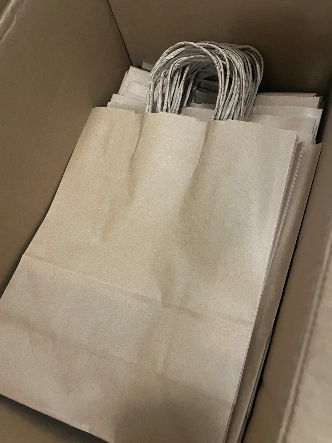 Viro Kraft Paper Bags 10"x5"x13"#Cleanout 🥕🌱 image indicator(3)
