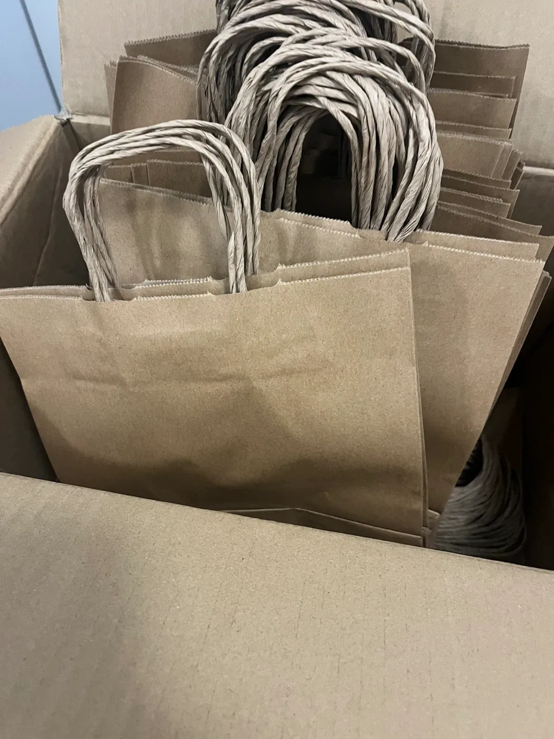 Viro Kraft Paper Bags 10"x5"x13"#Cleanout 🥕🌱 image indicator(2)
