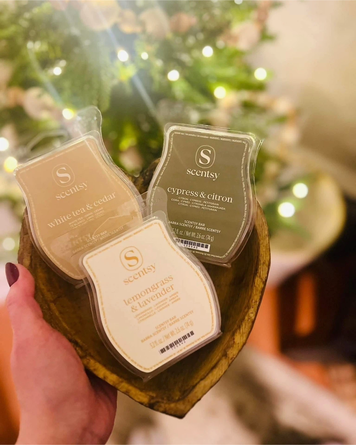 Scentsy’S Newest Collection, Inspire!