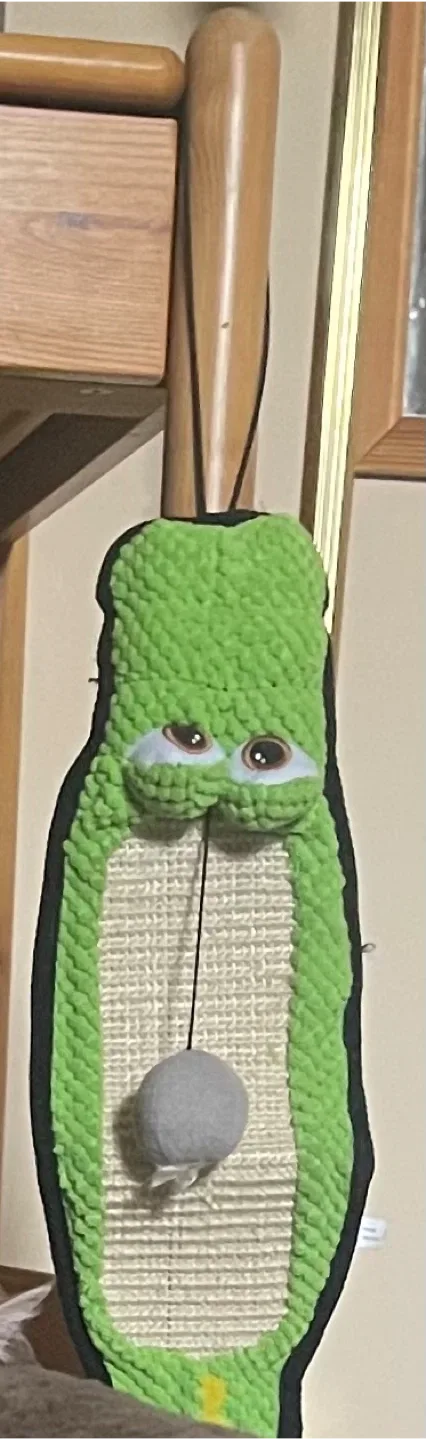 #Cleanout Green Cat Scratching Post with Toy