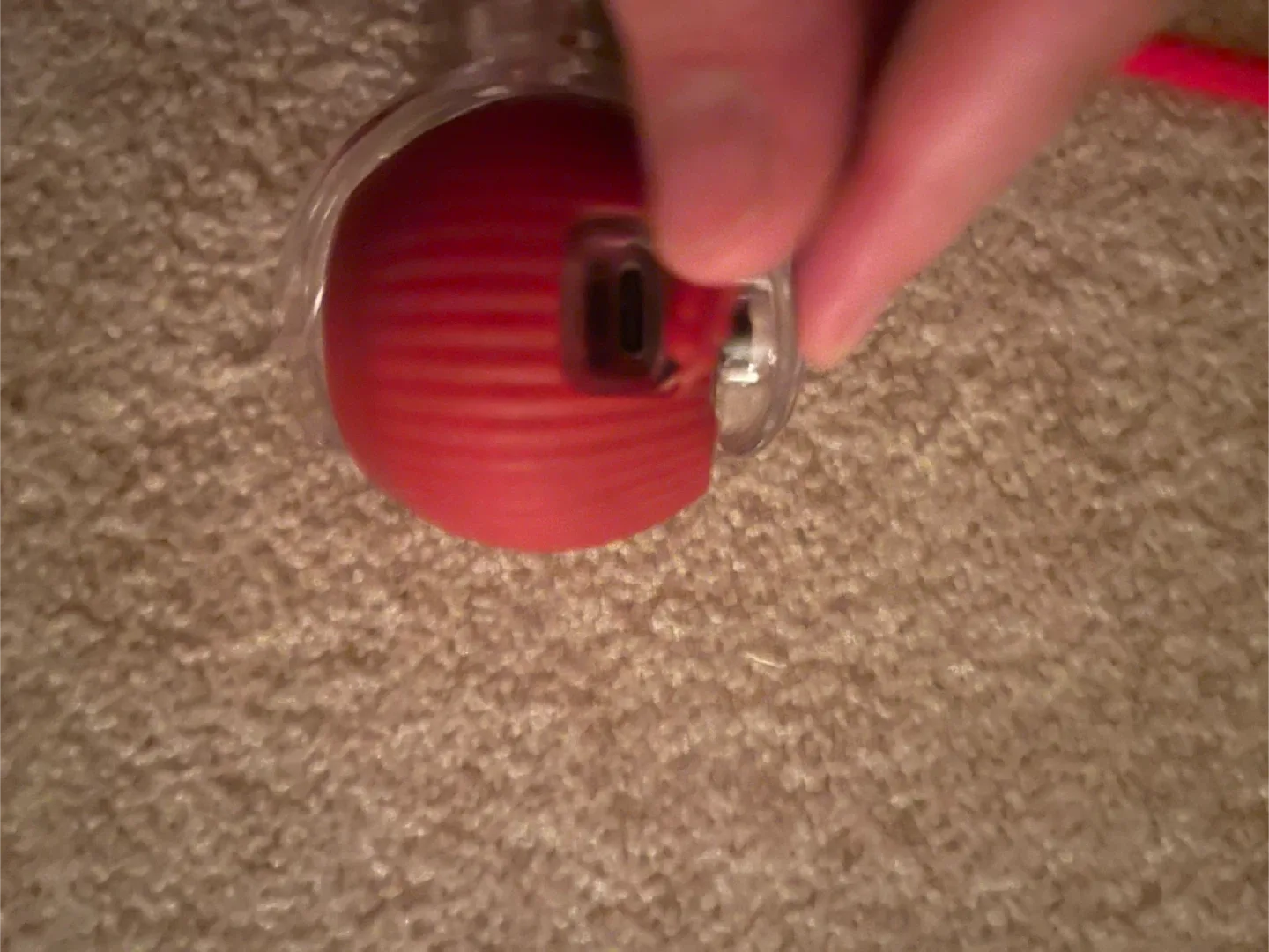 #Cleanout cat toy. image indicator(2)