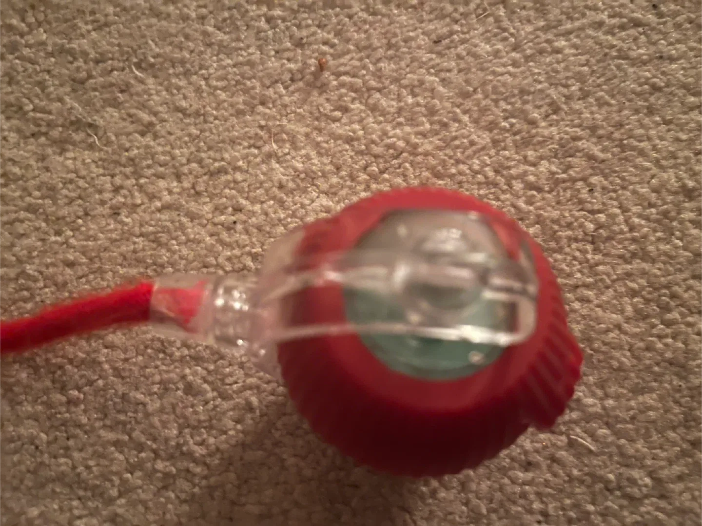 #Cleanout cat toy. image indicator(3)