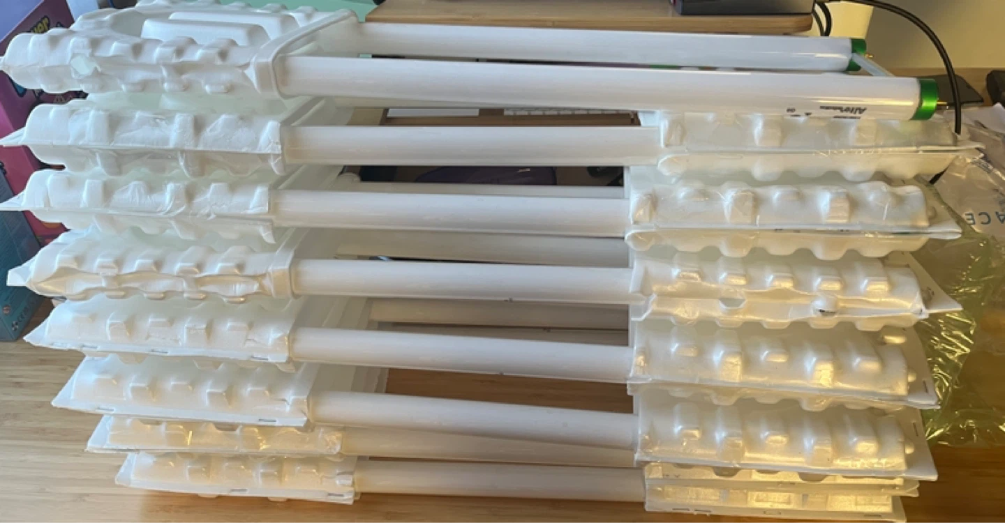 NEW Philips ALTO U-Bent T8 Fluorescent Tube Light  #Cleanout - photo 4