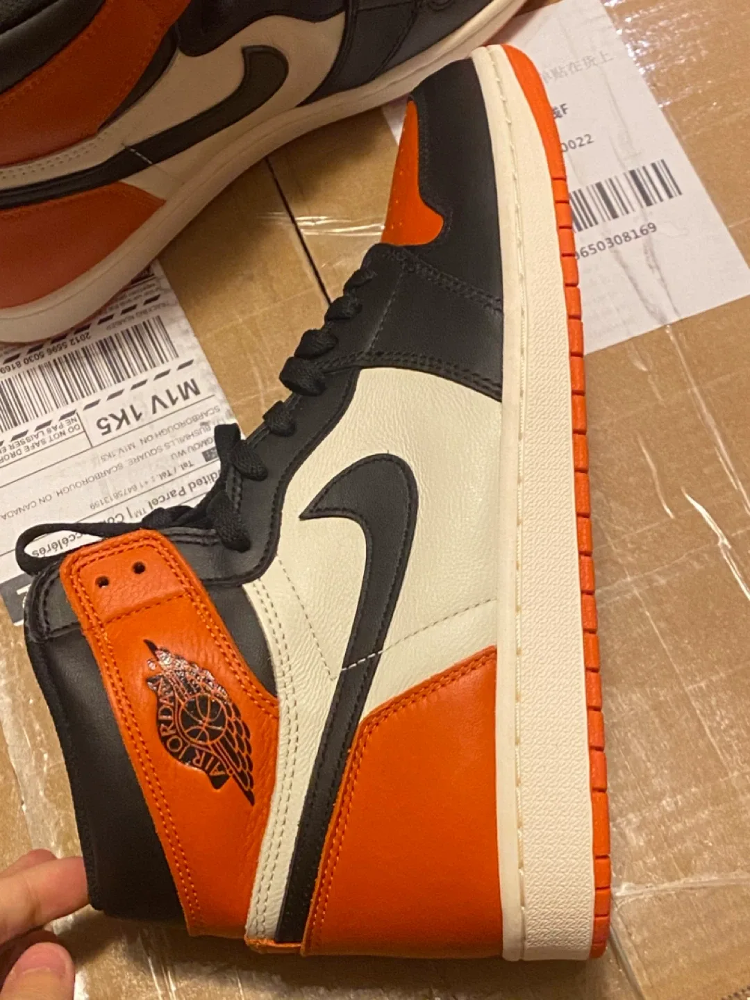 Air Jordan 1 High SBB image indicator(4)