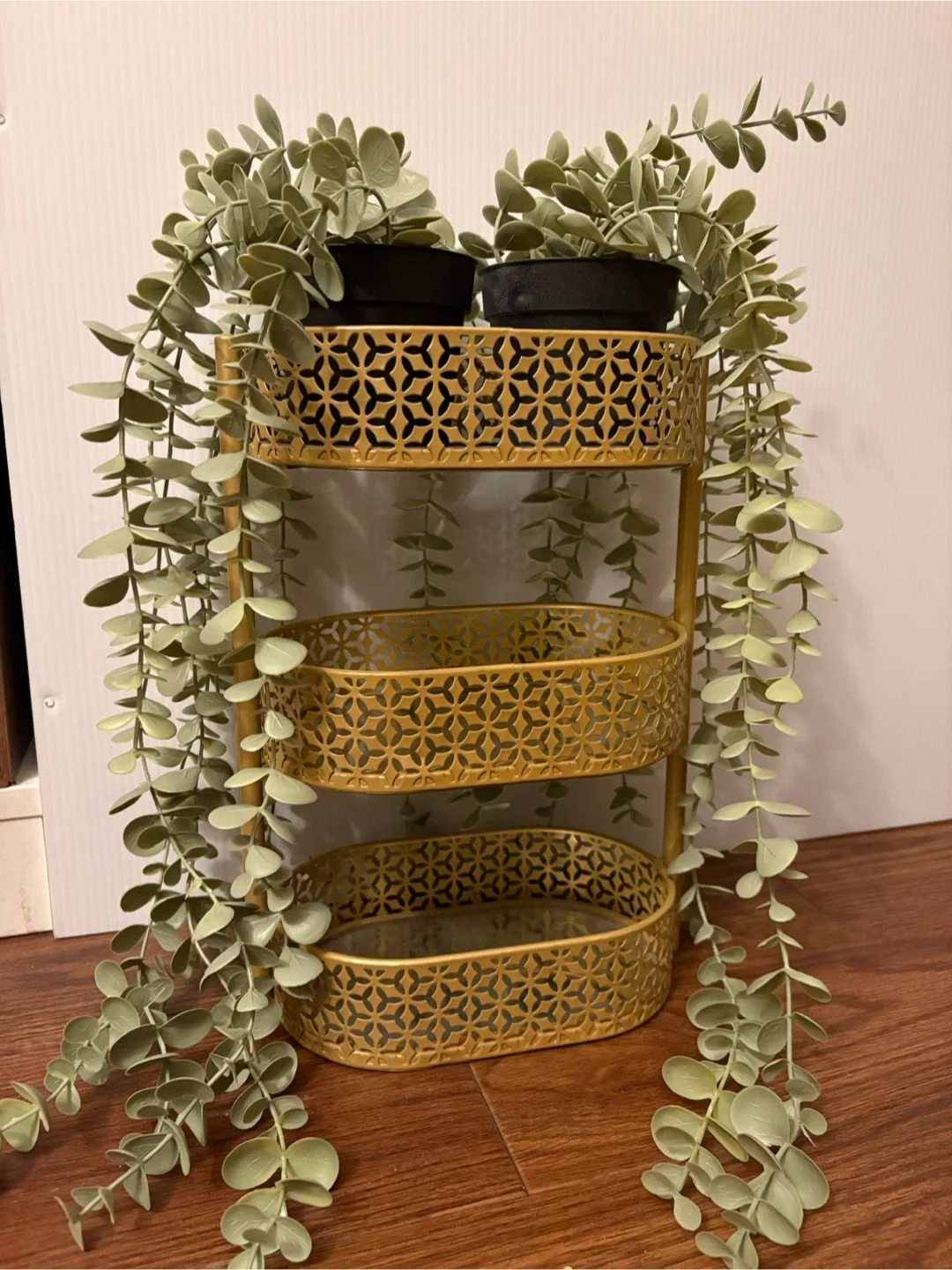 ✨Golden Organizer + 2 IKEA Plants – Great Deal!✨