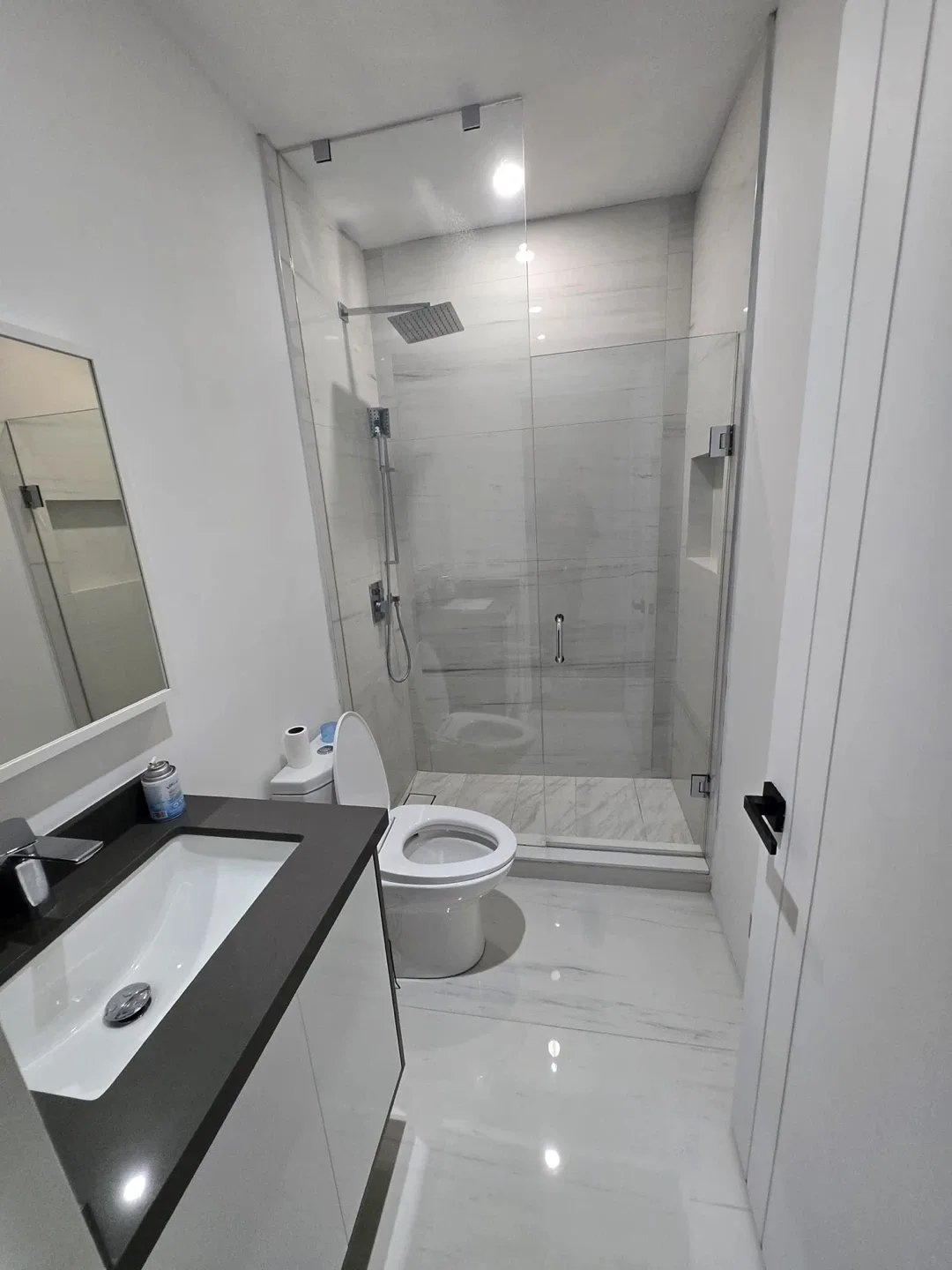 Newly Built Walkout Basement for Rent with Modern Design