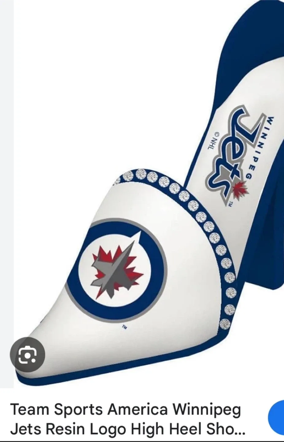 Winnipeg Jets NHL Team Spirit Bottle Holder image indicator(7)