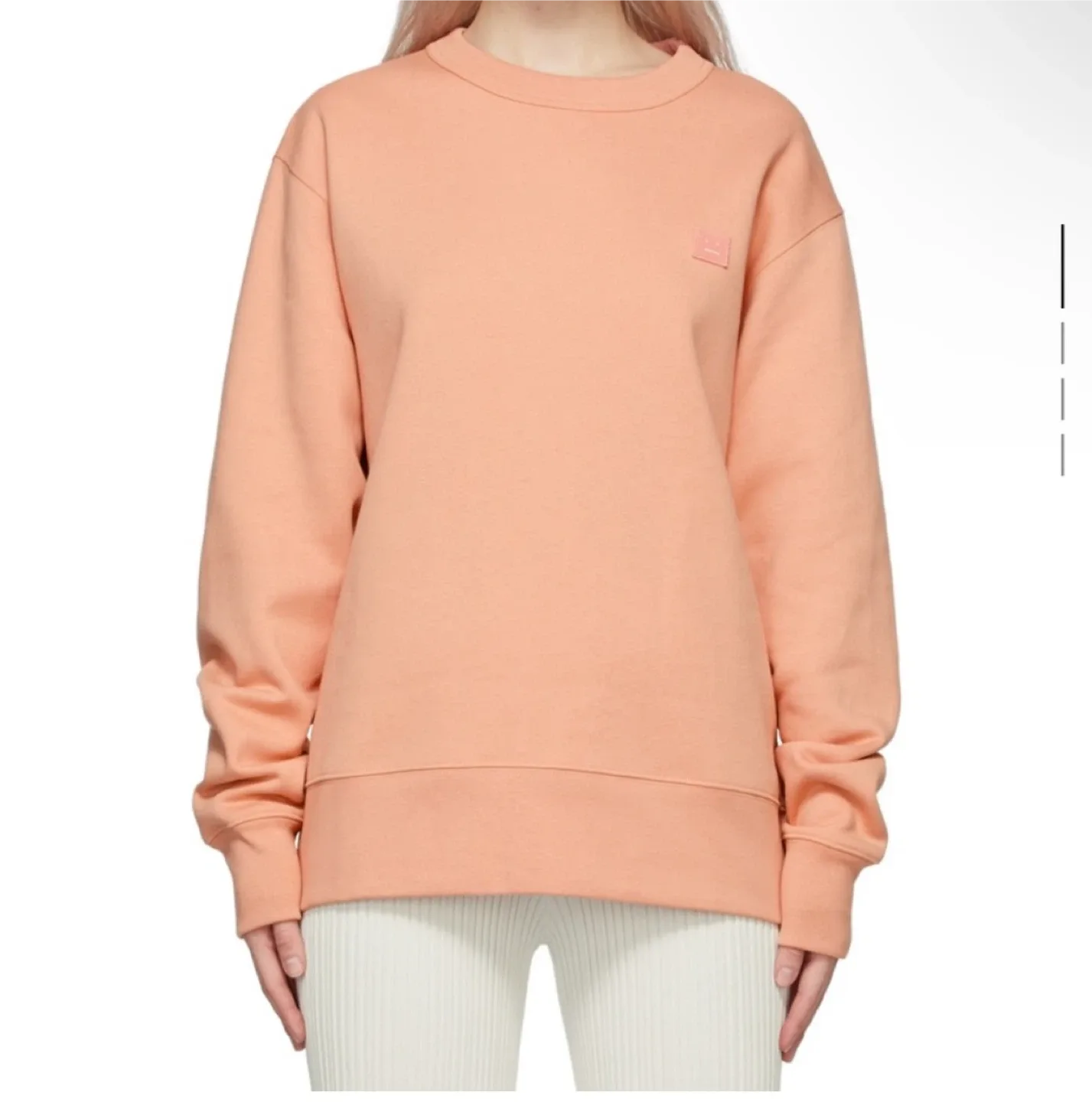 Acne Studios Fairview Face Sweatshirt XS Peach image indicator(5)