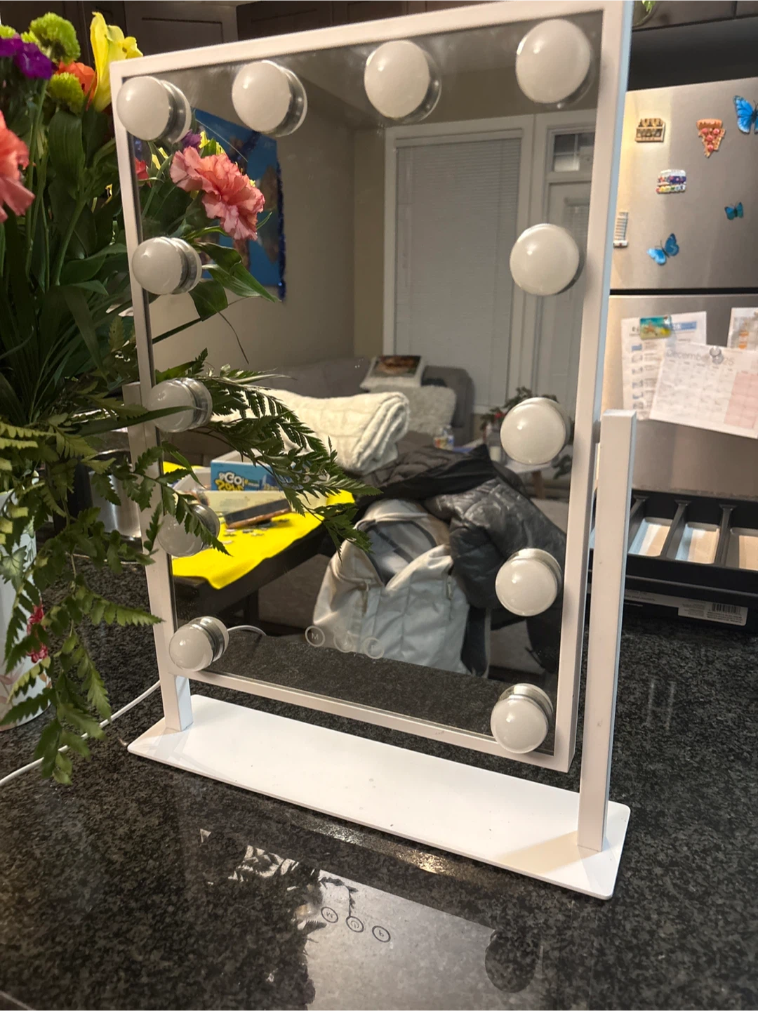 Vanity Mirror with Lights