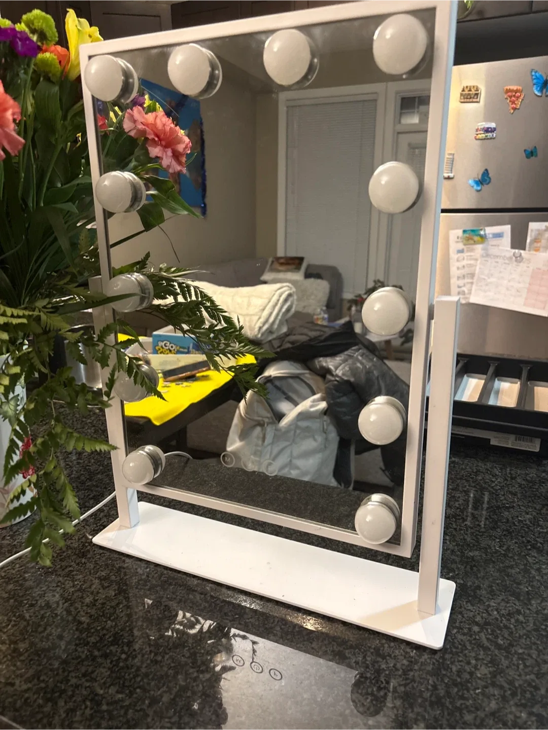 Vanity Mirror with Lights