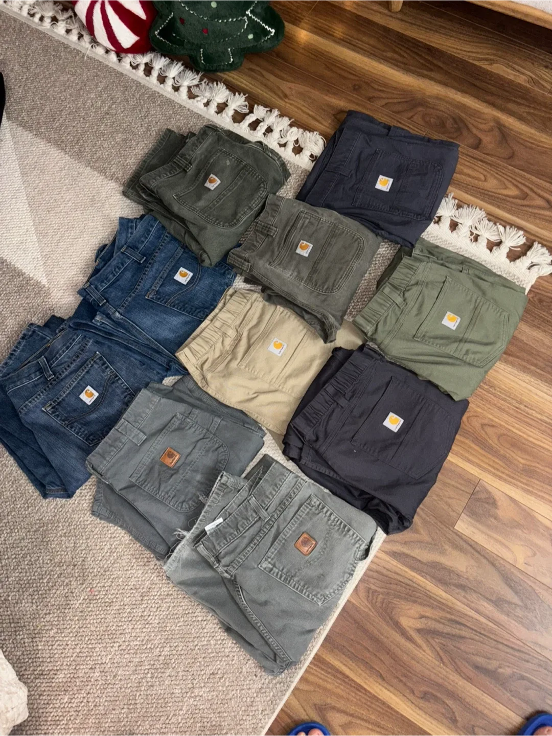 10 Carhartt Pants (for resellers/aspack)