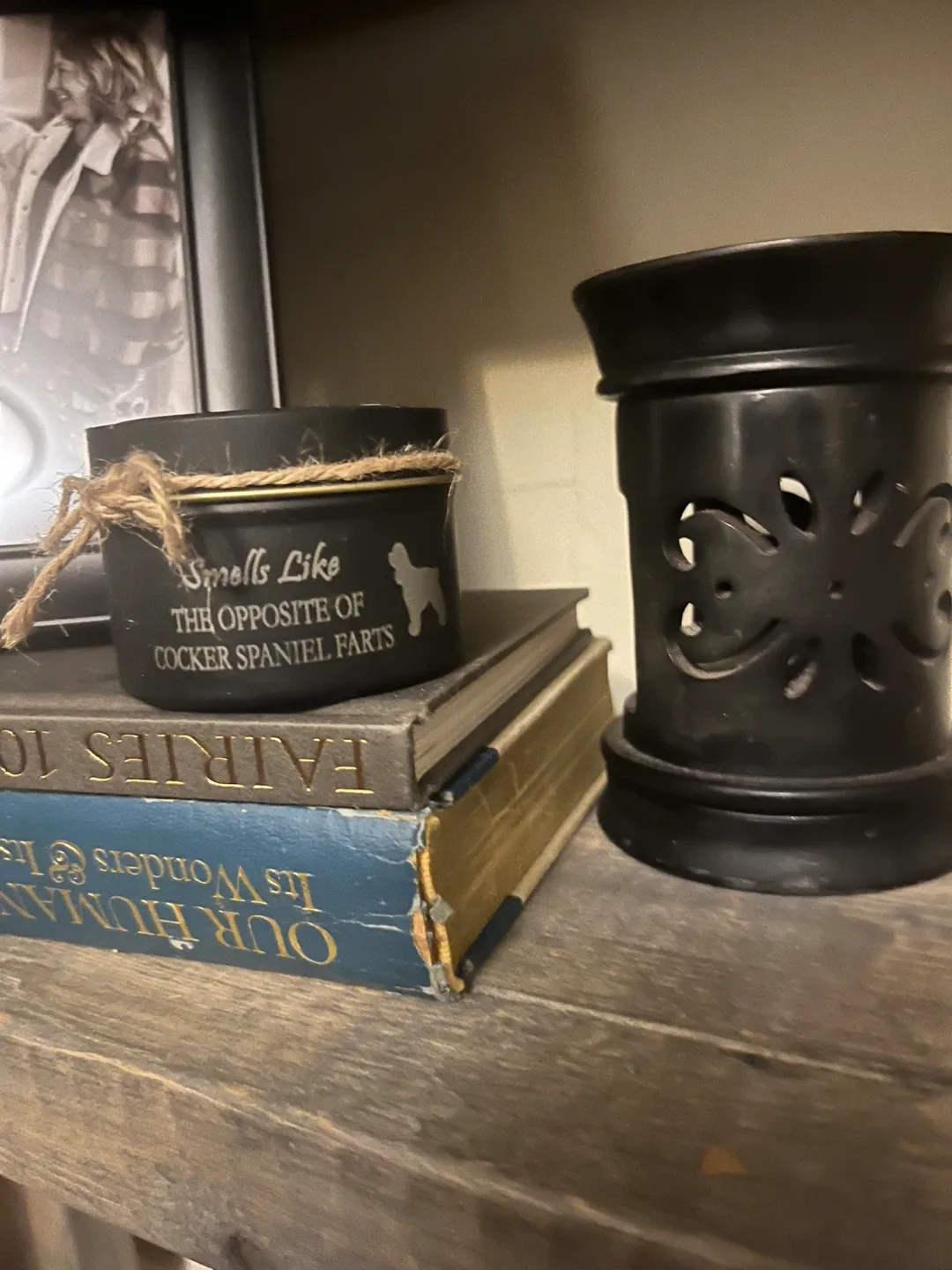 Funny Candle - Smells Like the Opposite of Cocker Spaniel Farts