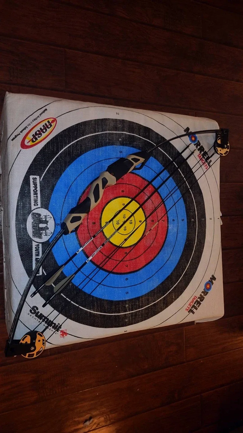 Compound Bow with Arrows plus target image indicator(2)