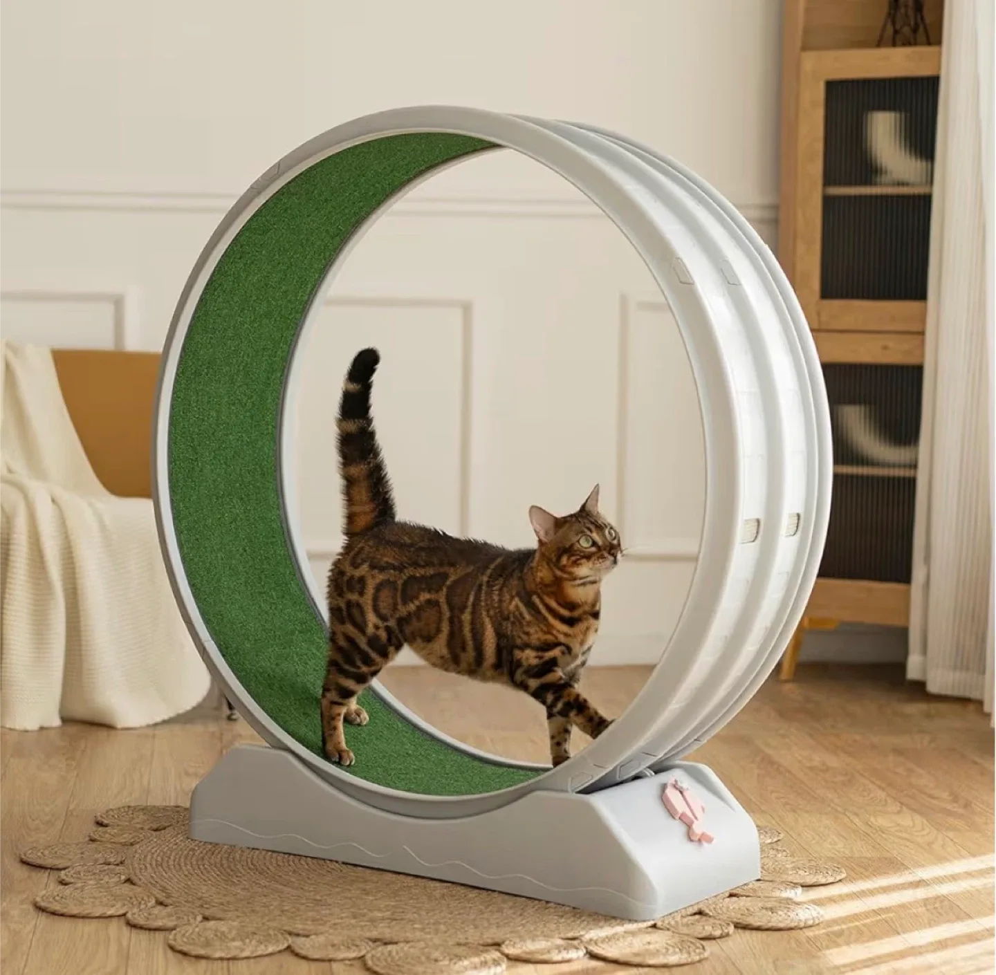 Cat Exercise Wheel/Treadmill