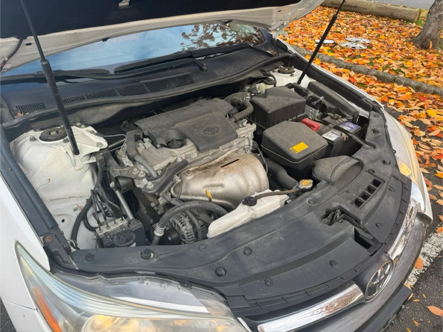 2015 Toyota Camry LE image indicator(10)