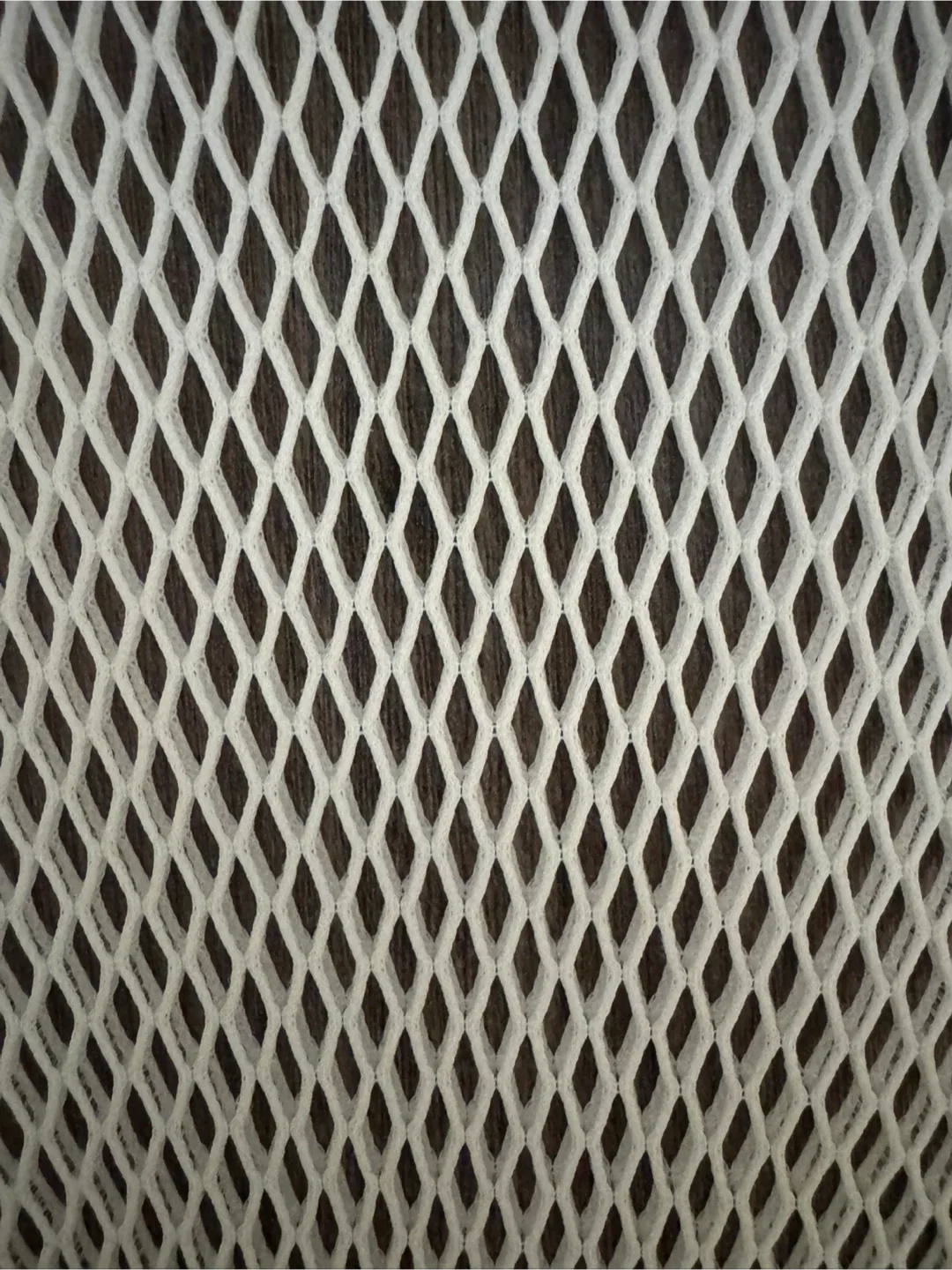 AngelType Oversized White Mesh Double Layered Hoodie image indicator(2)