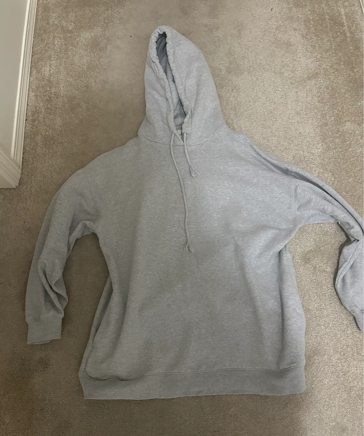 Aritzia Wilfred free Beasley hoodie