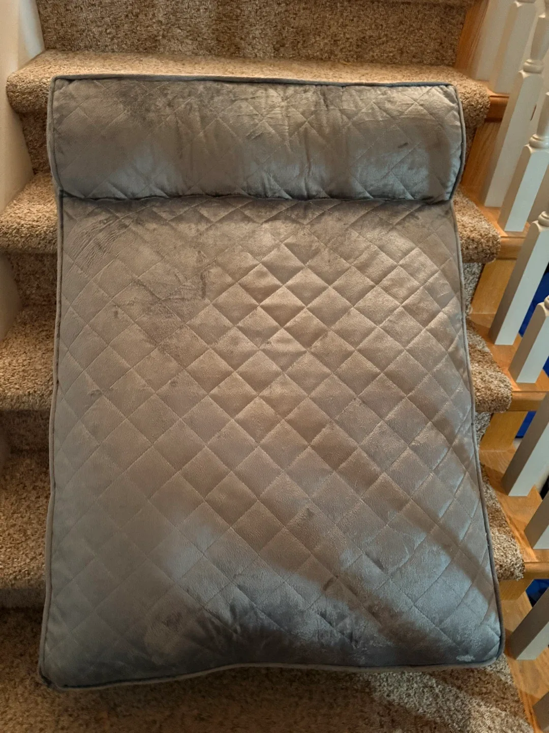 Brand new with tag - Warm Foam Lounger Pet Bed (large dog)