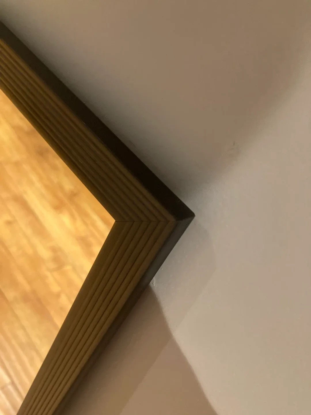 Full Length Black Framed Mirror image indicator(2)