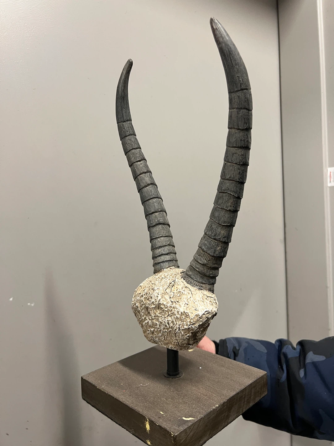 Decorative Antelope Horns Sculpture - photo 2