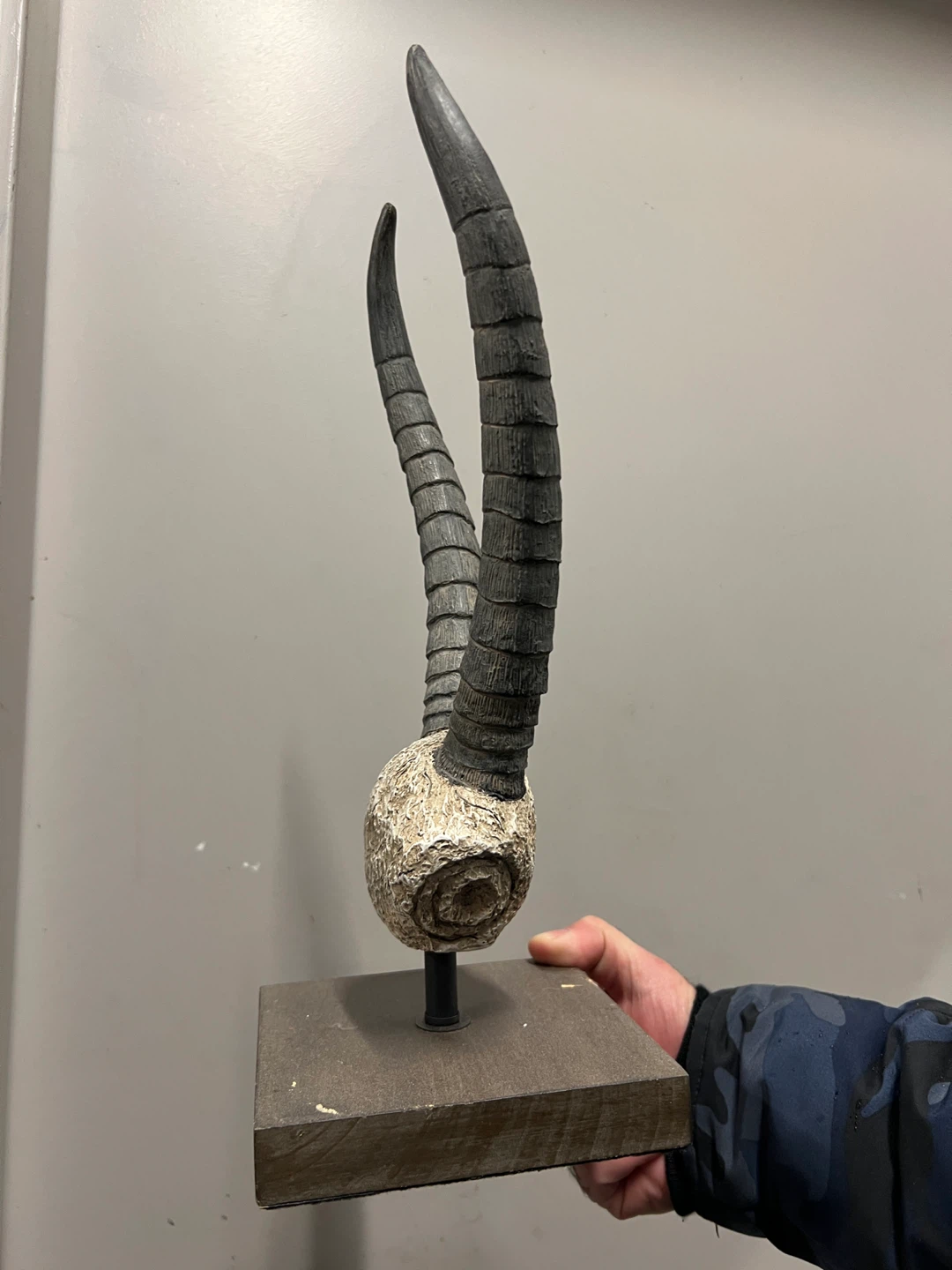 Decorative Antelope Horns Sculpture - photo 3