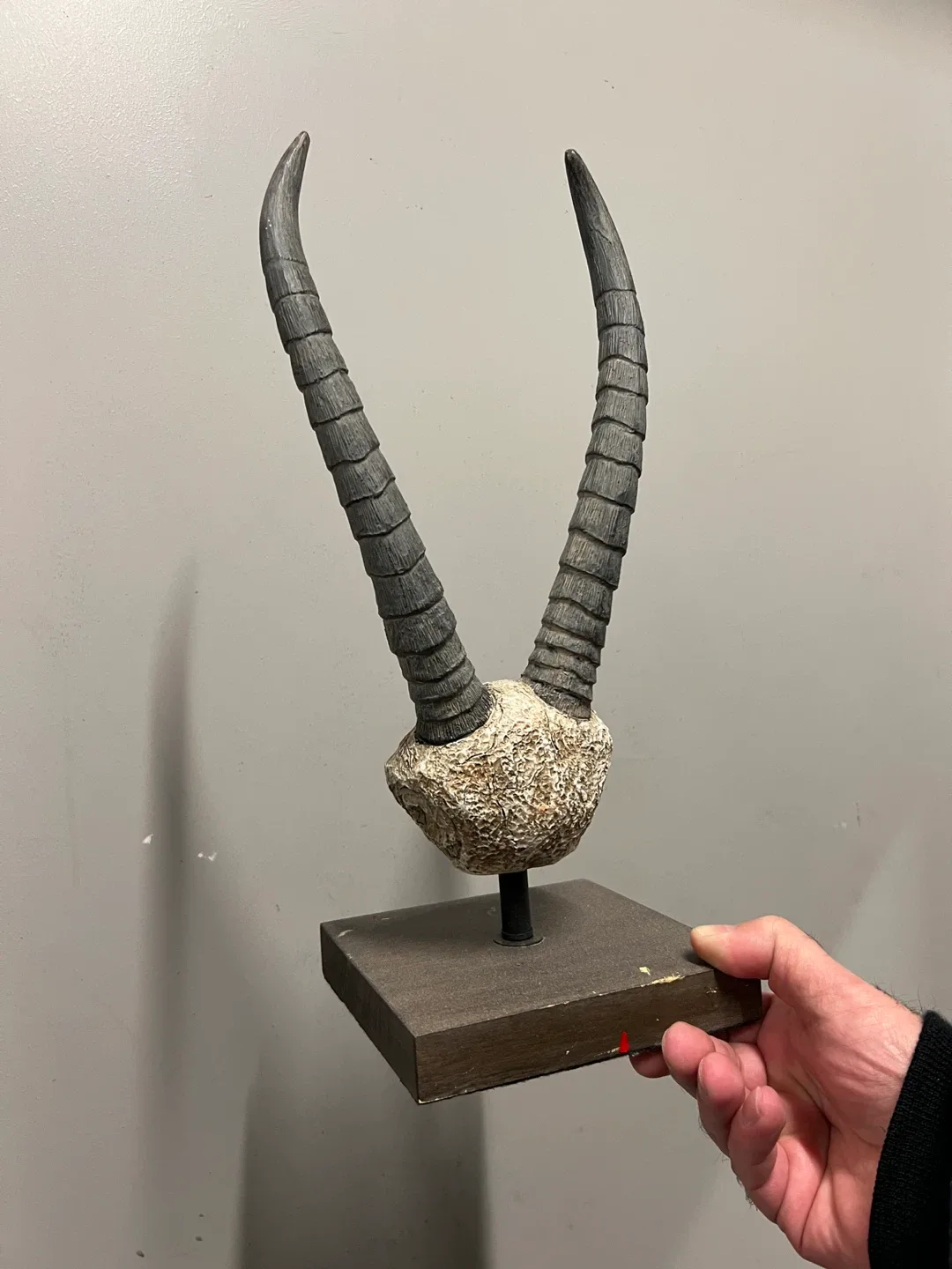 Decorative Antelope Horns Sculpture