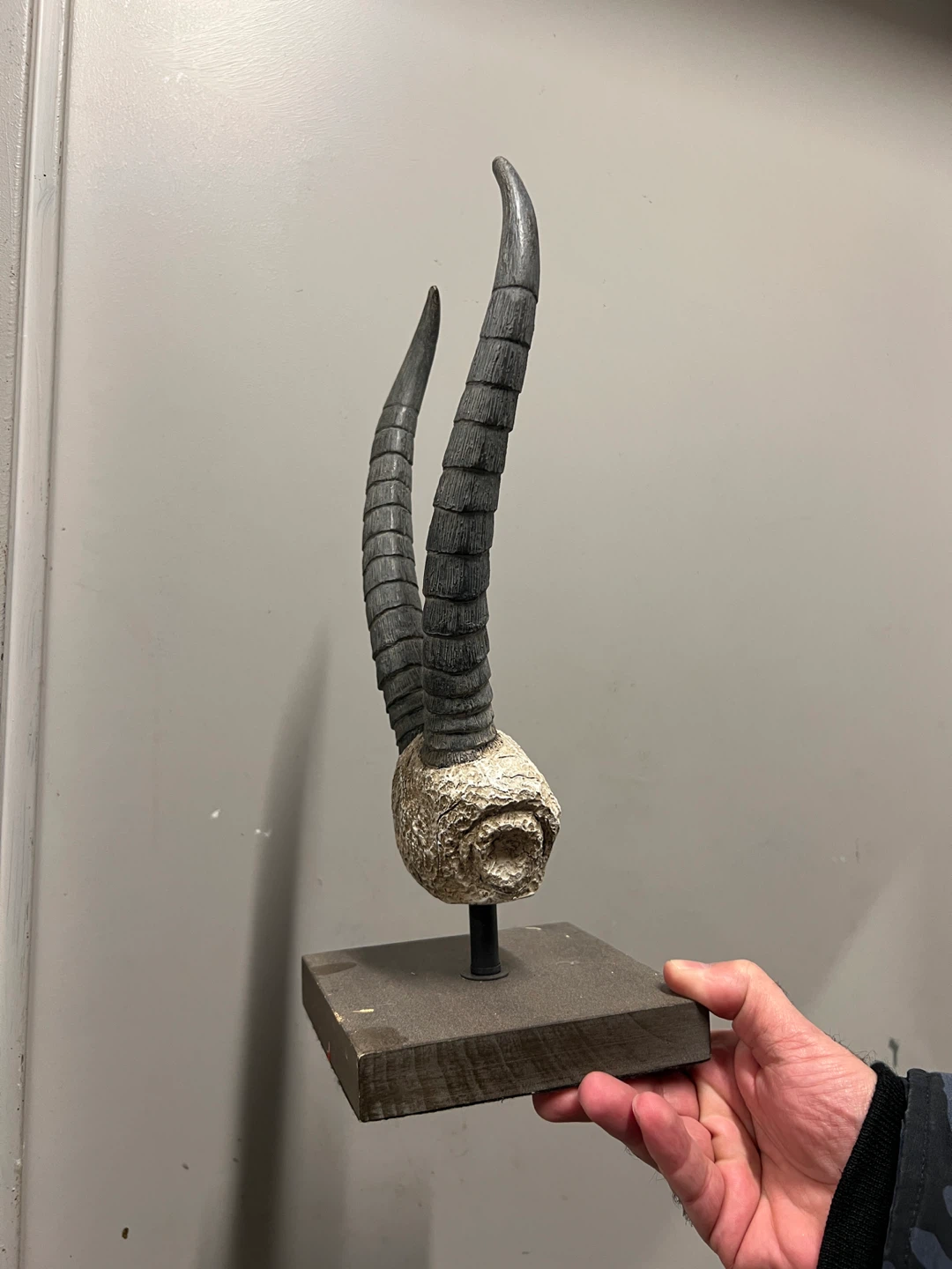 Decorative Antelope Horns Sculpture - photo 4
