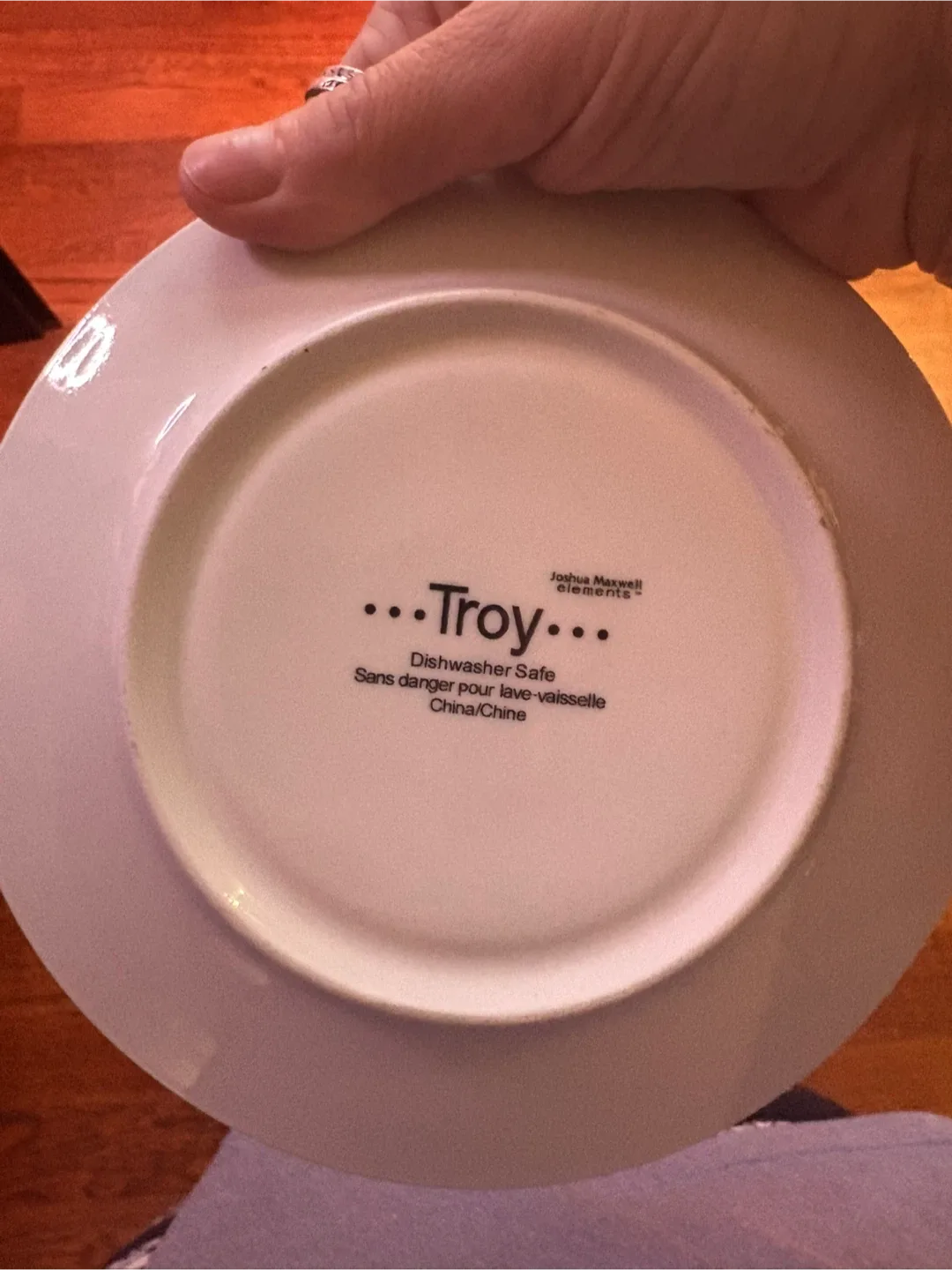 Troy Joshua Maxwell Elements Dishware Set