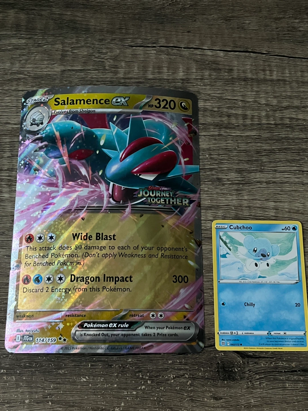 Pokemon Jumbo Salamence EX Promo Card