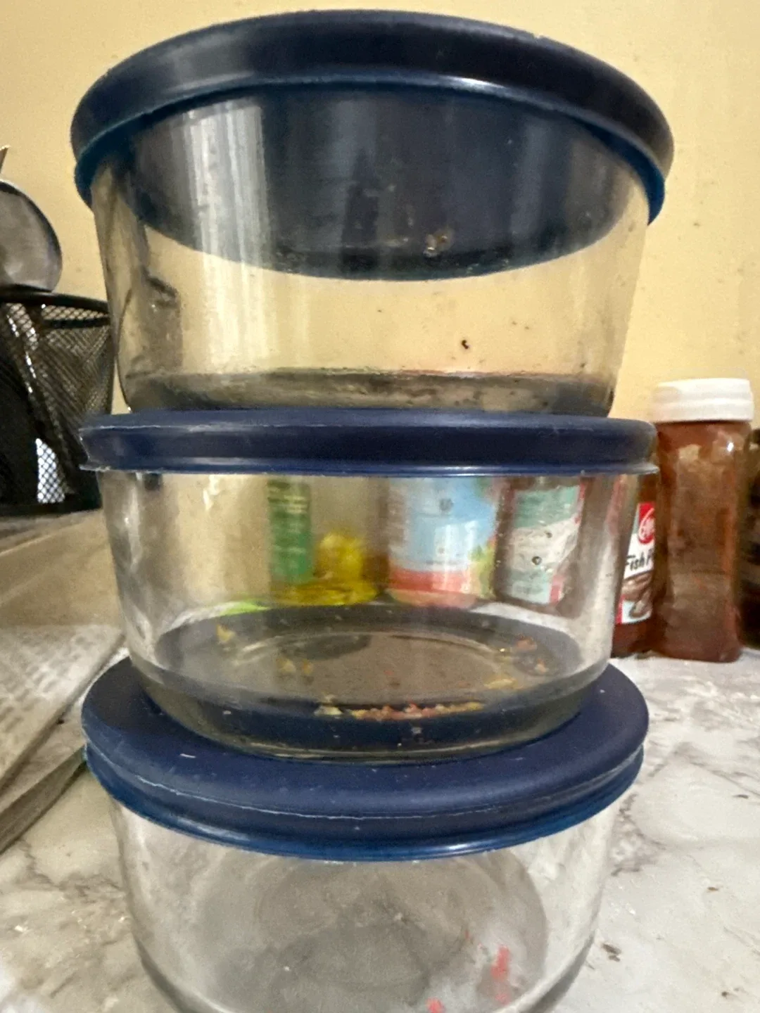 Glass Food Storage Containers with Lids