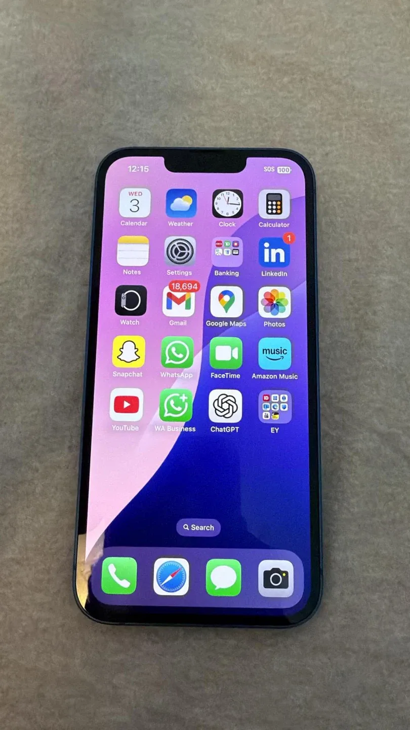 iPhone 13 - Blue image indicator(2)