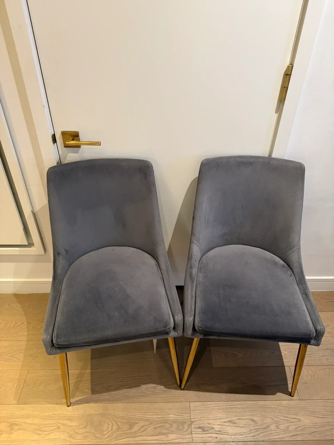 Meridian Furniture Karina Velvet Dining Chairs (Set of 2)