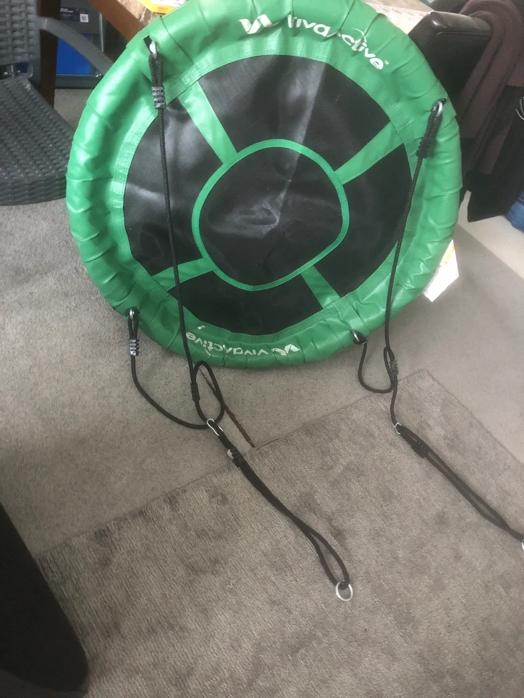 Viva Active Saucer Swing - Green & Black