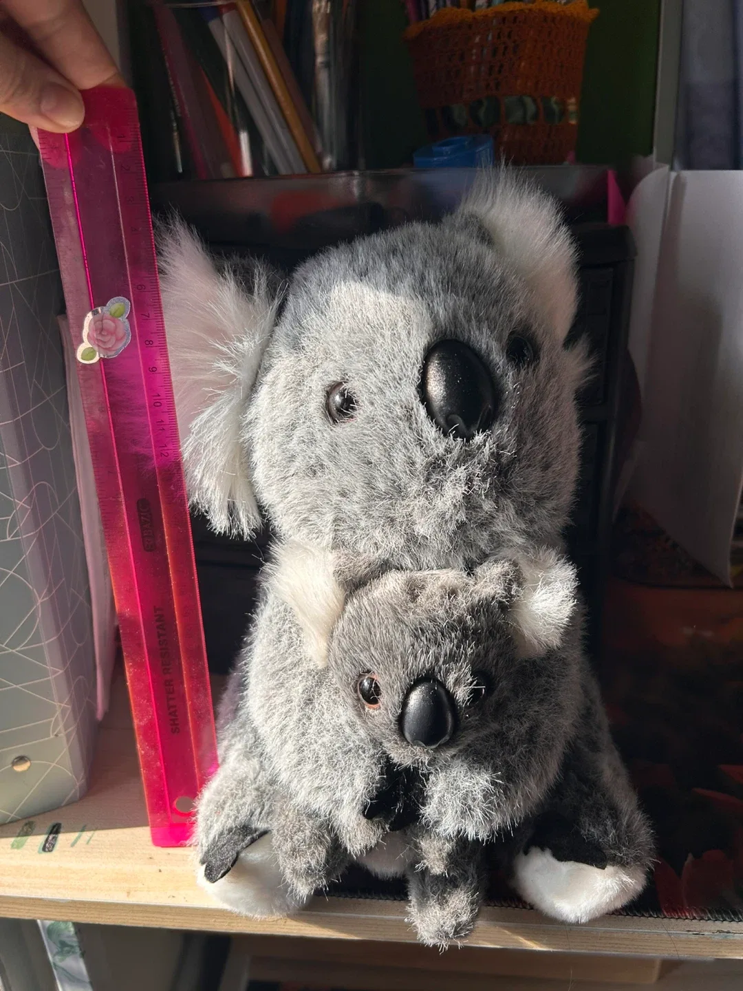 Koala plushies image indicator(4)