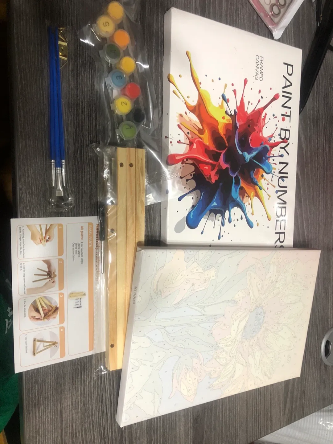 Paint by Numbers Framed Canvas Kit image indicator(3)