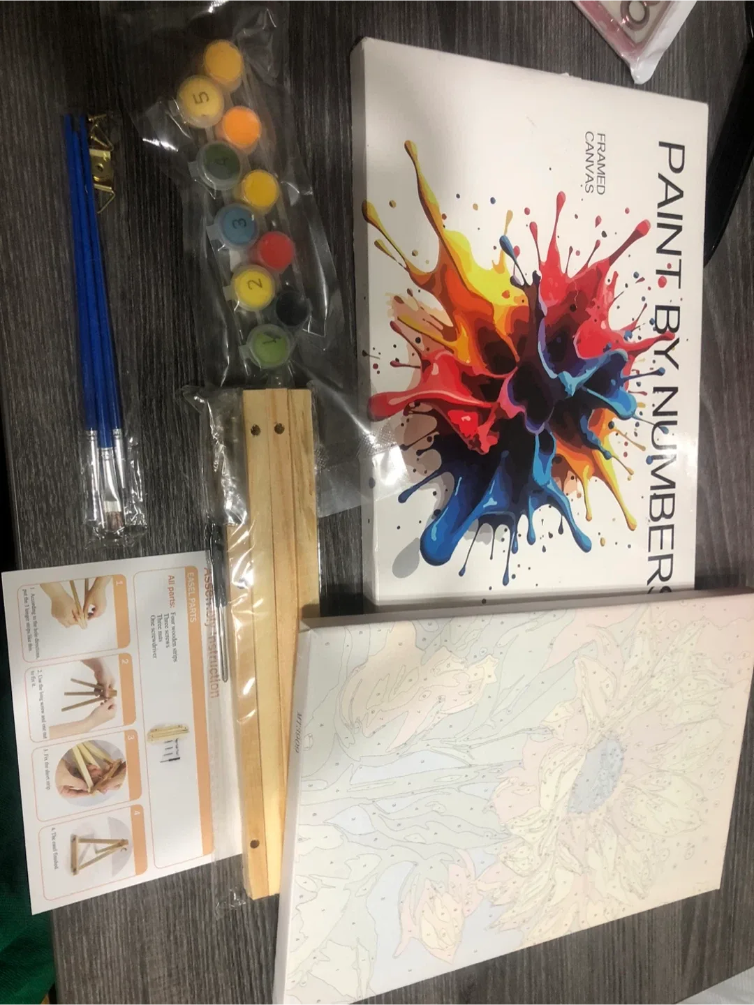 Paint by Numbers Framed Canvas Kit image indicator(2)